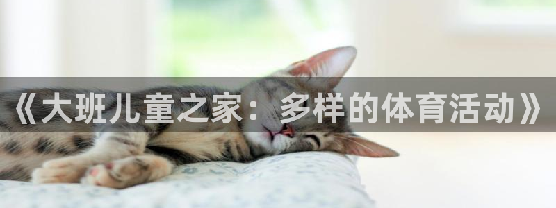 猎豹体育app官方下载：《大班儿童之家：多样的体育活动》