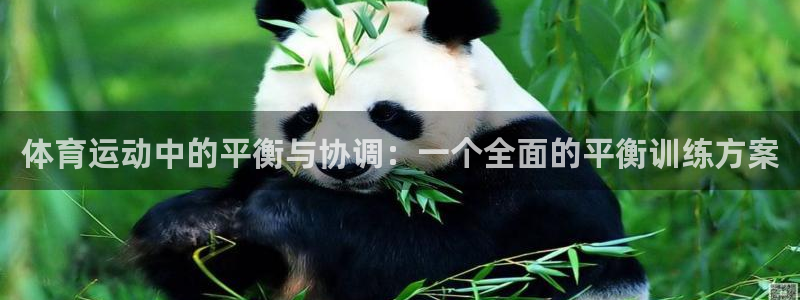 猎豹体育直播在线观看：体育运动中的平衡与协调：一个全面的平衡训练方案