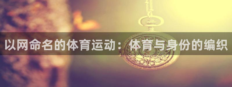 猎豹体育app下载安装：以网命名的体育运动：体育与身份的编织