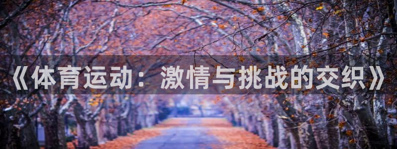 猎豹体育app官方下载：《体育运动：激情与挑战的交织》