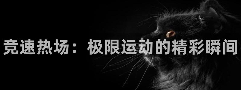 猎豹体育直播在线观看(无插件)：竞速热场：极限运动的精彩瞬间