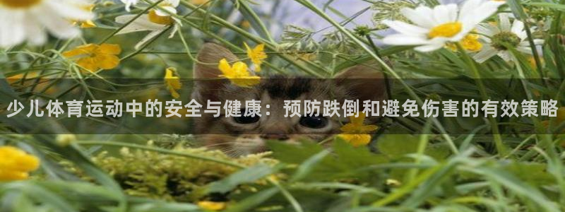 猎豹体育app下载安装：少儿体育运动中的安全与健康：预防跌倒和避免伤害的有效策略