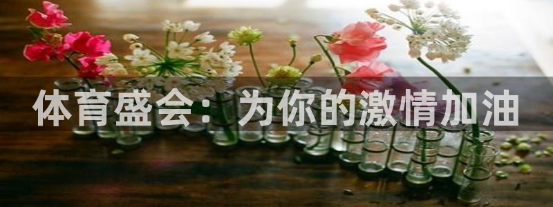 猎豹体育app官方入口：体育盛会：为你的激情加油
