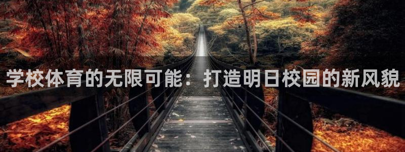 猎豹体育文化传播有限公司：学校体育的无限可能：打造明日校园的新风貌