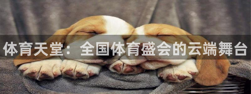 猎豹体育app：体育天堂：全国体育盛会的云端舞台