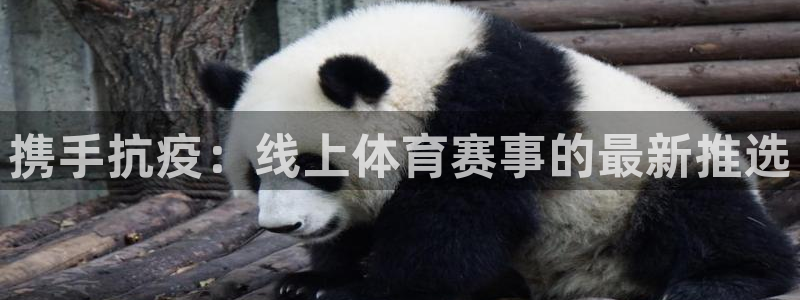 猎豹体育app官方下载：携手抗疫：线上体育赛事的最新推选