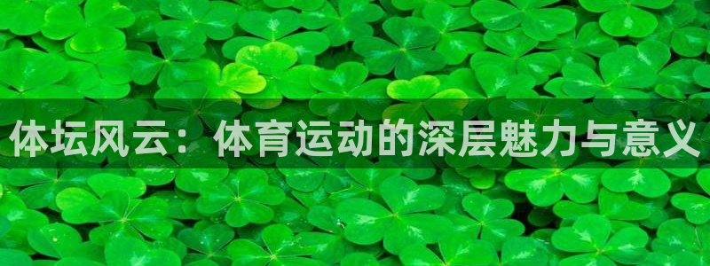 猎豹体育下载app：体坛风云：体育运动的深层魅力与意义